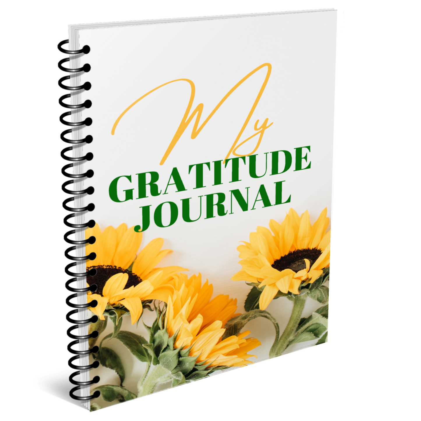 My Gratitude Journal for KDP Amazon